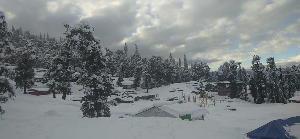 chopta valley camp room pic