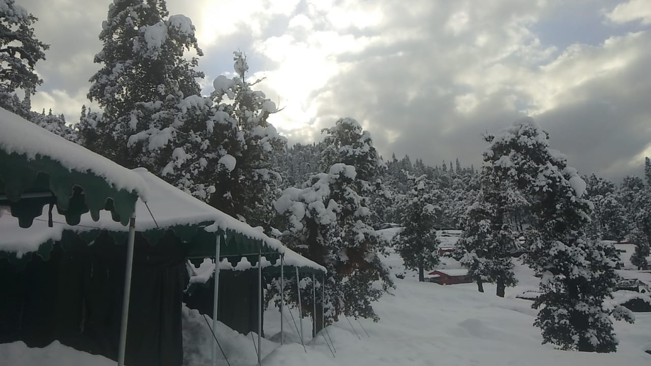 chopta valley camp room pic