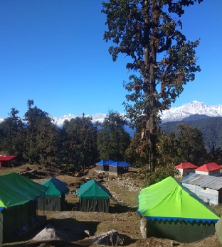 chopta valley camp room pic